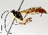  ( - BIOUG71237-B05)  @11 [ ] CreativeCommons - Attribution (2021) Centre for Biodiversity Genomics Centre for Biodiversity Genomics