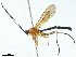  ( - BIOUG71237-B12)  @11 [ ] CreativeCommons - Attribution (2021) Centre for Biodiversity Genomics Centre for Biodiversity Genomics
