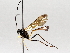  ( - BIOUG71237-C06)  @11 [ ] CreativeCommons - Attribution (2021) Centre for Biodiversity Genomics Centre for Biodiversity Genomics