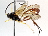  ( - BIOUG71237-D01)  @11 [ ] CreativeCommons - Attribution (2021) Centre for Biodiversity Genomics Centre for Biodiversity Genomics