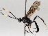  ( - BIOUG71237-D10)  @11 [ ] CreativeCommons - Attribution (2021) Centre for Biodiversity Genomics Centre for Biodiversity Genomics