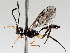 ( - BIOUG71237-E04)  @11 [ ] CreativeCommons - Attribution (2021) Centre for Biodiversity Genomics Centre for Biodiversity Genomics