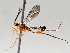  ( - BIOUG71237-E10)  @11 [ ] CreativeCommons - Attribution (2021) Centre for Biodiversity Genomics Centre for Biodiversity Genomics