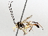  ( - BIOUG71237-F05)  @11 [ ] CreativeCommons - Attribution (2021) Centre for Biodiversity Genomics Centre for Biodiversity Genomics