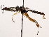 ( - BIOUG71237-H01)  @11 [ ] CreativeCommons - Attribution (2021) Centre for Biodiversity Genomics Centre for Biodiversity Genomics
