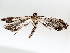 ( - BIOUG71239-B03)  @11 [ ] CreativeCommons - Attribution (2021) Centre for Biodiversity Genomics Centre for Biodiversity Genomics