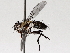  ( - BIOUG71239-C11)  @11 [ ] CreativeCommons - Attribution (2021) Centre for Biodiversity Genomics Centre for Biodiversity Genomics