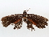  ( - BIOUG71239-G07)  @11 [ ] CreativeCommons - Attribution (2021) Centre for Biodiversity Genomics Centre for Biodiversity Genomics