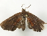  ( - BIOUG71239-H03)  @11 [ ] CreativeCommons - Attribution (2021) Centre for Biodiversity Genomics Centre for Biodiversity Genomics