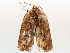  ( - BIOUG71239-H04)  @11 [ ] CreativeCommons - Attribution (2021) Centre for Biodiversity Genomics Centre for Biodiversity Genomics