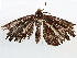  ( - BIOUG71239-H05)  @11 [ ] CreativeCommons - Attribution (2021) Centre for Biodiversity Genomics Centre for Biodiversity Genomics