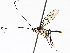  ( - BIOUG71240-A06)  @11 [ ] CreativeCommons - Attribution (2021) Centre for Biodiversity Genomics Centre for Biodiversity Genomics