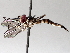  ( - BIOUG71240-D12)  @11 [ ] CreativeCommons - Attribution (2021) Centre for Biodiversity Genomics Centre for Biodiversity Genomics