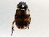  ( - BIOUG71240-E02)  @11 [ ] CreativeCommons - Attribution (2021) Centre for Biodiversity Genomics Centre for Biodiversity Genomics