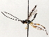  (Pantisarthrus Malaise9457 - BIOUG71240-G12)  @11 [ ] CreativeCommons - Attribution (2021) Centre for Biodiversity Genomics Centre for Biodiversity Genomics