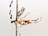  ( - BIOUG71240-H06)  @11 [ ] CreativeCommons - Attribution (2021) Centre for Biodiversity Genomics Centre for Biodiversity Genomics