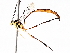  ( - BIOUG71241-A08)  @11 [ ] CreativeCommons - Attribution (2021) Centre for Biodiversity Genomics Centre for Biodiversity Genomics
