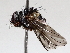  ( - BIOUG71241-C03)  @11 [ ] CreativeCommons - Attribution (2021) Centre for Biodiversity Genomics Centre for Biodiversity Genomics