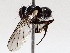  ( - BIOUG71241-C06)  @11 [ ] CreativeCommons - Attribution (2021) Centre for Biodiversity Genomics Centre for Biodiversity Genomics