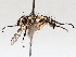  ( - BIOUG71241-C07)  @11 [ ] CreativeCommons - Attribution (2021) Centre for Biodiversity Genomics Centre for Biodiversity Genomics