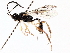  ( - BIOUG71242-A02)  @11 [ ] CreativeCommons - Attribution (2021) Centre for Biodiversity Genomics Centre for Biodiversity Genomics