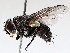  ( - BIOUG71242-E03)  @11 [ ] CreativeCommons - Attribution (2021) Centre for Biodiversity Genomics Centre for Biodiversity Genomics