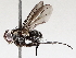  ( - BIOUG71242-E08)  @11 [ ] CreativeCommons - Attribution (2021) Centre for Biodiversity Genomics Centre for Biodiversity Genomics