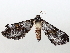  ( - BIOUG71242-G12)  @11 [ ] CreativeCommons - Attribution (2021) Centre for Biodiversity Genomics Centre for Biodiversity Genomics