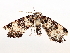  ( - BIOUG71242-H04)  @11 [ ] CreativeCommons - Attribution (2021) Centre for Biodiversity Genomics Centre for Biodiversity Genomics