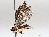  ( - BIOUG64000-D05)  @11 [ ] CreativeCommons - Attribution (2021) CBG Photography Group Centre for Biodiversity Genomics