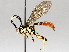  ( - BIOUG64452-F09)  @11 [ ] CreativeCommons - Attribution (2021) CBG Photography Group Centre for Biodiversity Genomics