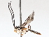  ( - BIOUG71243-B09)  @11 [ ] CreativeCommons - Attribution (2021) Centre for Biodiversity Genomics Centre for Biodiversity Genomics