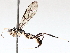  ( - BIOUG71243-B10)  @11 [ ] CreativeCommons - Attribution (2021) Centre for Biodiversity Genomics Centre for Biodiversity Genomics