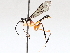  ( - BIOUG71243-C05)  @11 [ ] CreativeCommons - Attribution (2021) Centre for Biodiversity Genomics Centre for Biodiversity Genomics