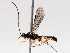  (crypMalaise01 Malaise0216 - BIOUG71243-D07)  @13 [ ] CreativeCommons - Attribution (2021) Centre for Biodiversity Genomics Centre for Biodiversity Genomics