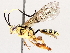  ( - BIOUG71243-G06)  @11 [ ] CreativeCommons - Attribution (2021) Centre for Biodiversity Genomics Centre for Biodiversity Genomics
