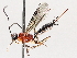  ( - BIOUG71243-G07)  @11 [ ] CreativeCommons - Attribution (2021) Centre for Biodiversity Genomics Centre for Biodiversity Genomics