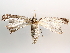  ( - BIOUG71244-F01)  @11 [ ] CreativeCommons - Attribution (2021) Centre for Biodiversity Genomics Centre for Biodiversity Genomics