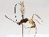  ( - BIOUG71245-E05)  @11 [ ] CreativeCommons - Attribution (2021) Centre for Biodiversity Genomics Centre for Biodiversity Genomics
