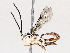  ( - BIOUG71245-G06)  @11 [ ] CreativeCommons - Attribution (2021) Centre for Biodiversity Genomics Centre for Biodiversity Genomics