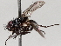  ( - BIOUG71247-F10)  @11 [ ] CreativeCommons - Attribution (2021) CBG Photography Group Centre for Biodiversity Genomics