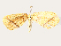  ( - BIOUG72904-B10)  @11 [ ] CreativeCommons - Attribution (2021) CBG Photography Group Centre for Biodiversity Genomics