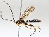  ( - BIOUG72905-D08)  @11 [ ] CreativeCommons - Attribution (2021) CBG Photography Group Centre for Biodiversity Genomics