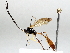  ( - BIOUG72905-E01)  @11 [ ] CreativeCommons - Attribution (2021) CBG Photography Group Centre for Biodiversity Genomics