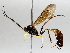  ( - BIOUG72905-F01)  @11 [ ] CreativeCommons - Attribution (2021) CBG Photography Group Centre for Biodiversity Genomics