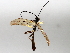  ( - BIOUG72905-G12)  @11 [ ] CreativeCommons - Attribution (2021) CBG Photography Group Centre for Biodiversity Genomics
