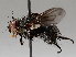  ( - BIOUG72906-C10)  @11 [ ] CreativeCommons - Attribution (2021) CBG Photography Group Centre for Biodiversity Genomics