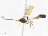  ( - CBG-A06258-C02)  @11 [ ] CreativeCommons - Attribution Share-Alike (2023) CBG Photography Group Centre for Biodiversity Genomics