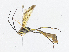 ( - CBG-A06258-D01)  @11 [ ] CreativeCommons - Attribution Share-Alike (2023) CBG Photography Group Centre for Biodiversity Genomics