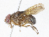  ( - CBG-A06258-E09)  @11 [ ] CreativeCommons - Attribution Share-Alike (2023) CBG Photography Group Centre for Biodiversity Genomics
